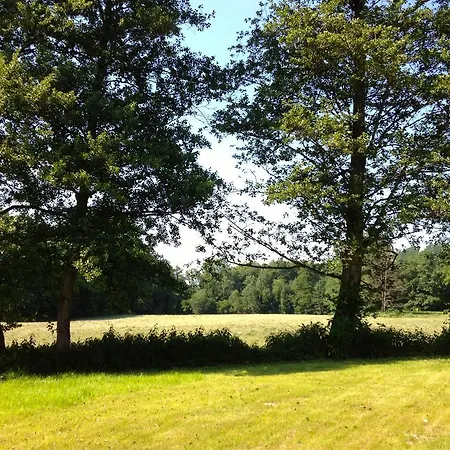 Goldschmiedsmuehle *