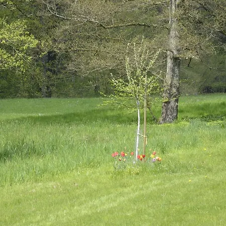 Apartment Goldschmiedsmuehle