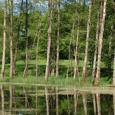 Goldschmiedsmuehle *