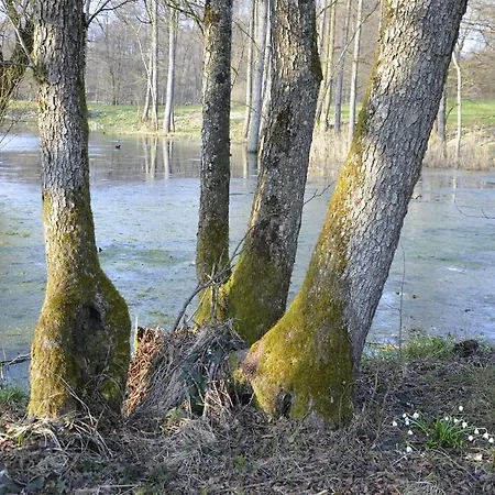 Goldschmiedsmuehle アパート *