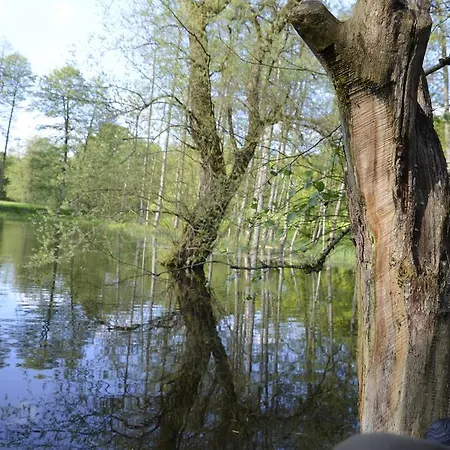 Goldschmiedsmuehle アパート *