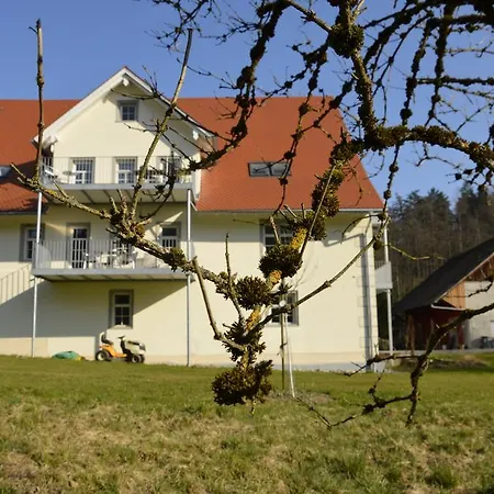 Daire Goldschmiedsmuehle Lindau (Bodensee)