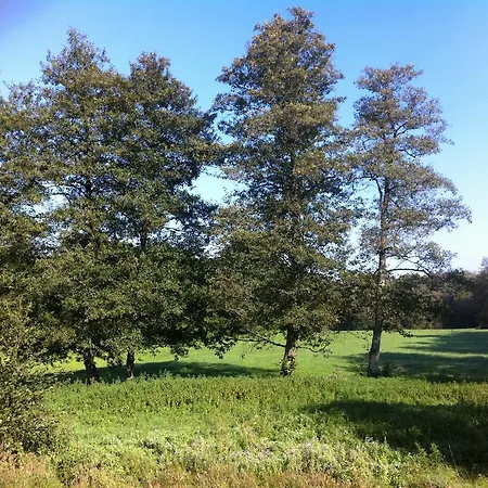 Goldschmiedsmuehle アパート リンダウ