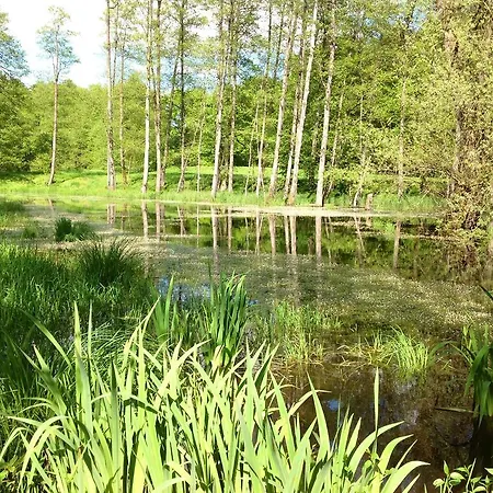 Goldschmiedsmuehle アパート *